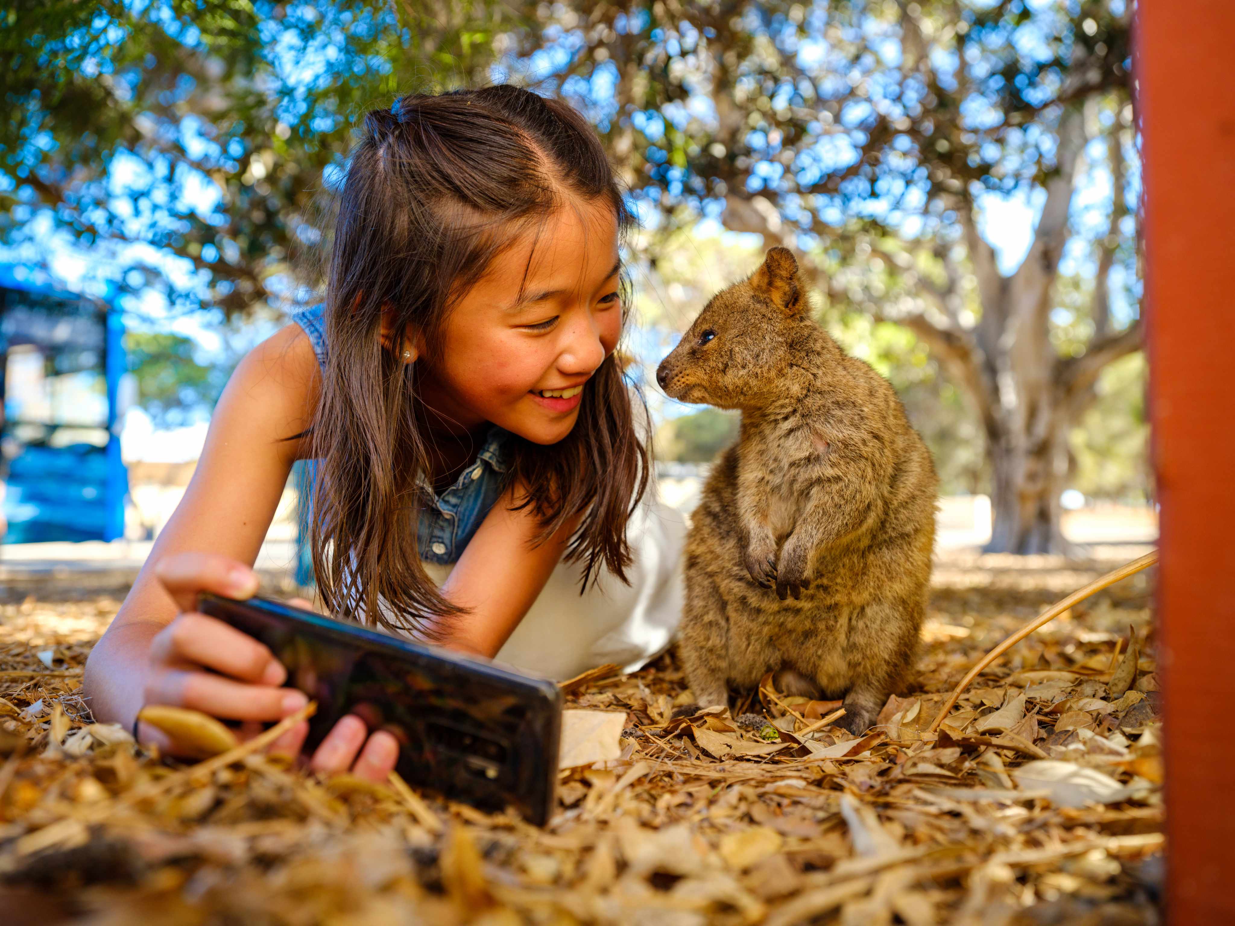 Our strengths - Reduced quality image - no credit required Tourist taking a quokka selfie