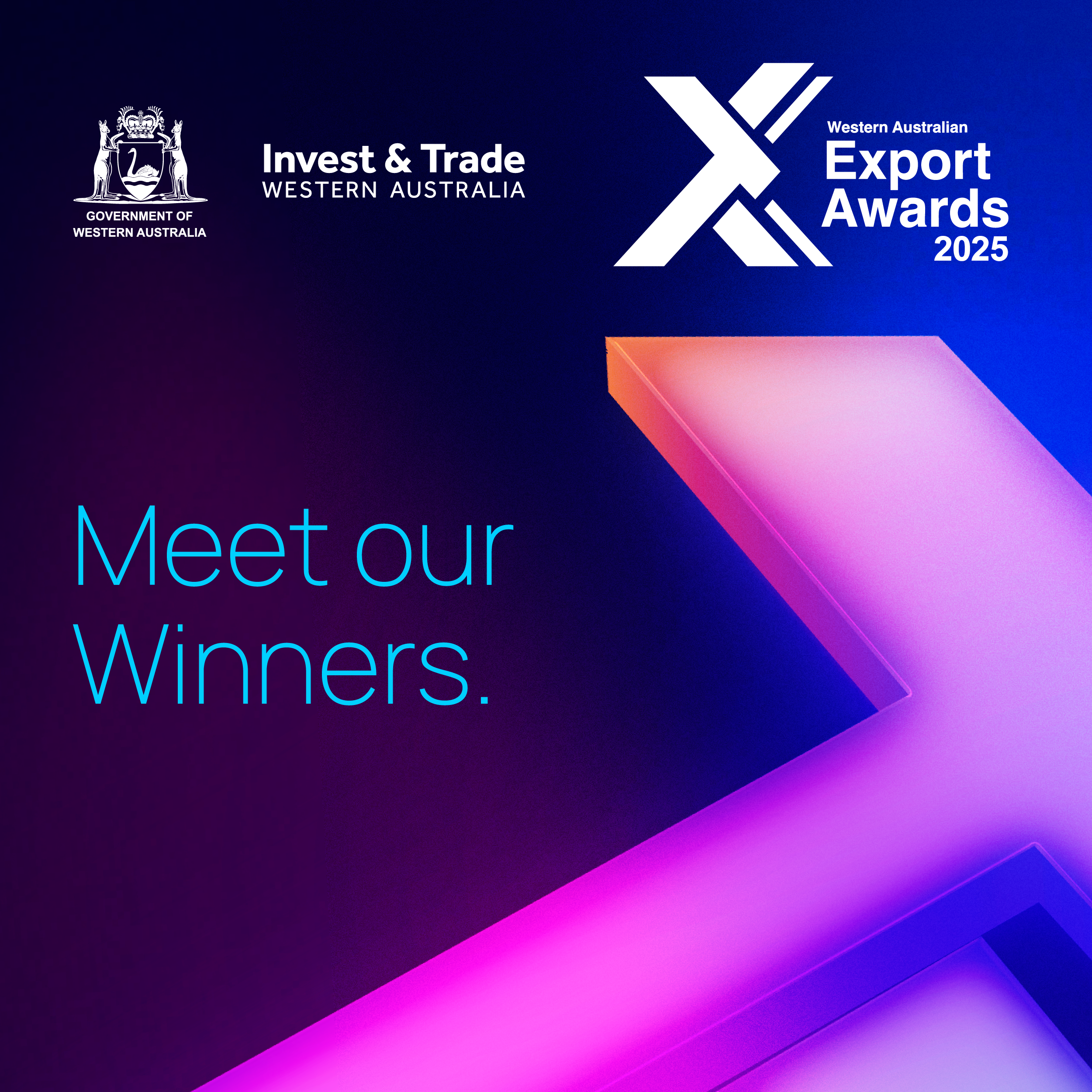WAEA_2025_Meet_the_winners-Instagram